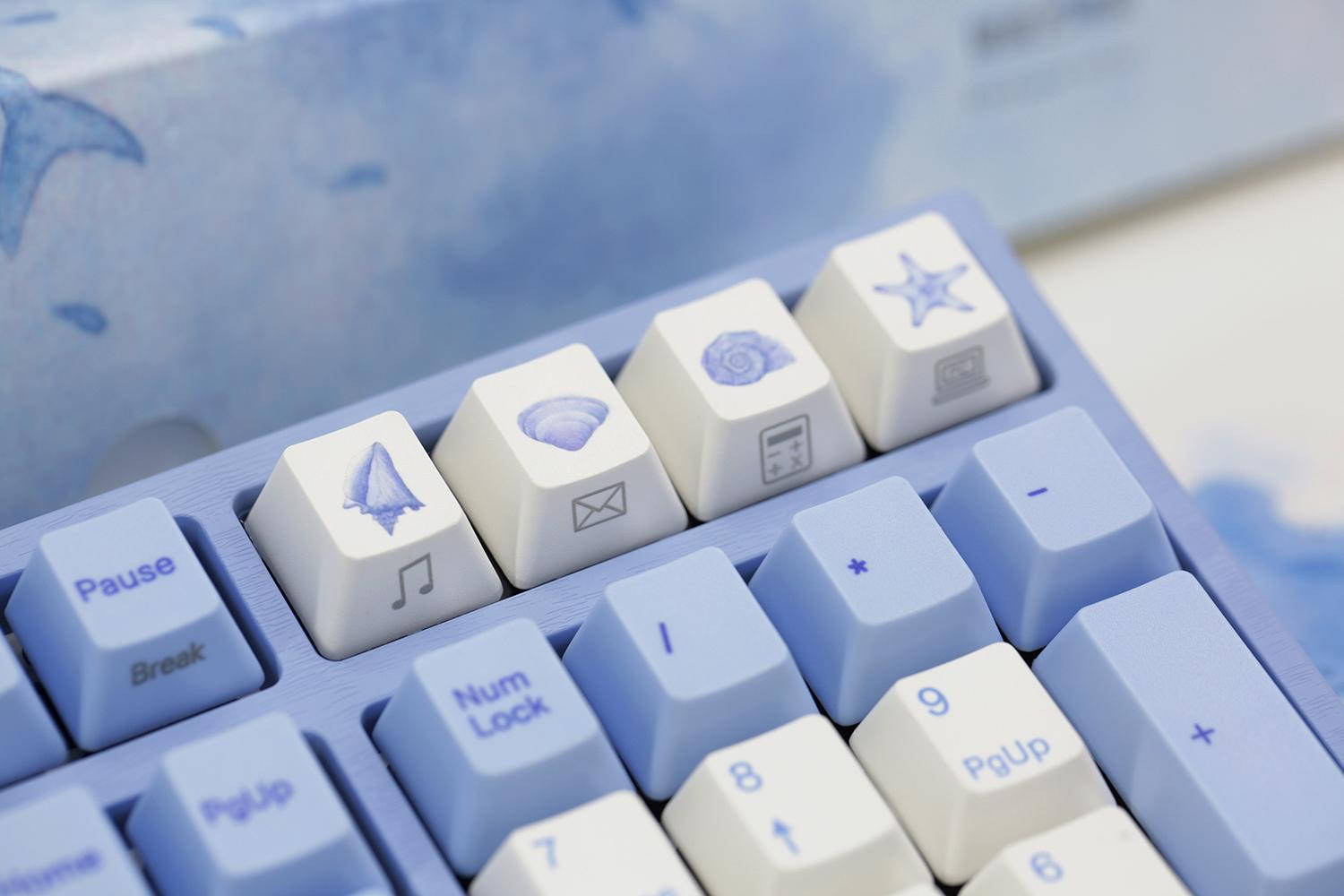 2, 60% Wired/Wireless Mechanical Keyboard (Kailh Box Brown Switch/White Case) - Full Keys Programmable - True RGB Backlit - Tap Arrow Keys - Double Shot PBT Keycaps - NKRO - 1900mAh Battery