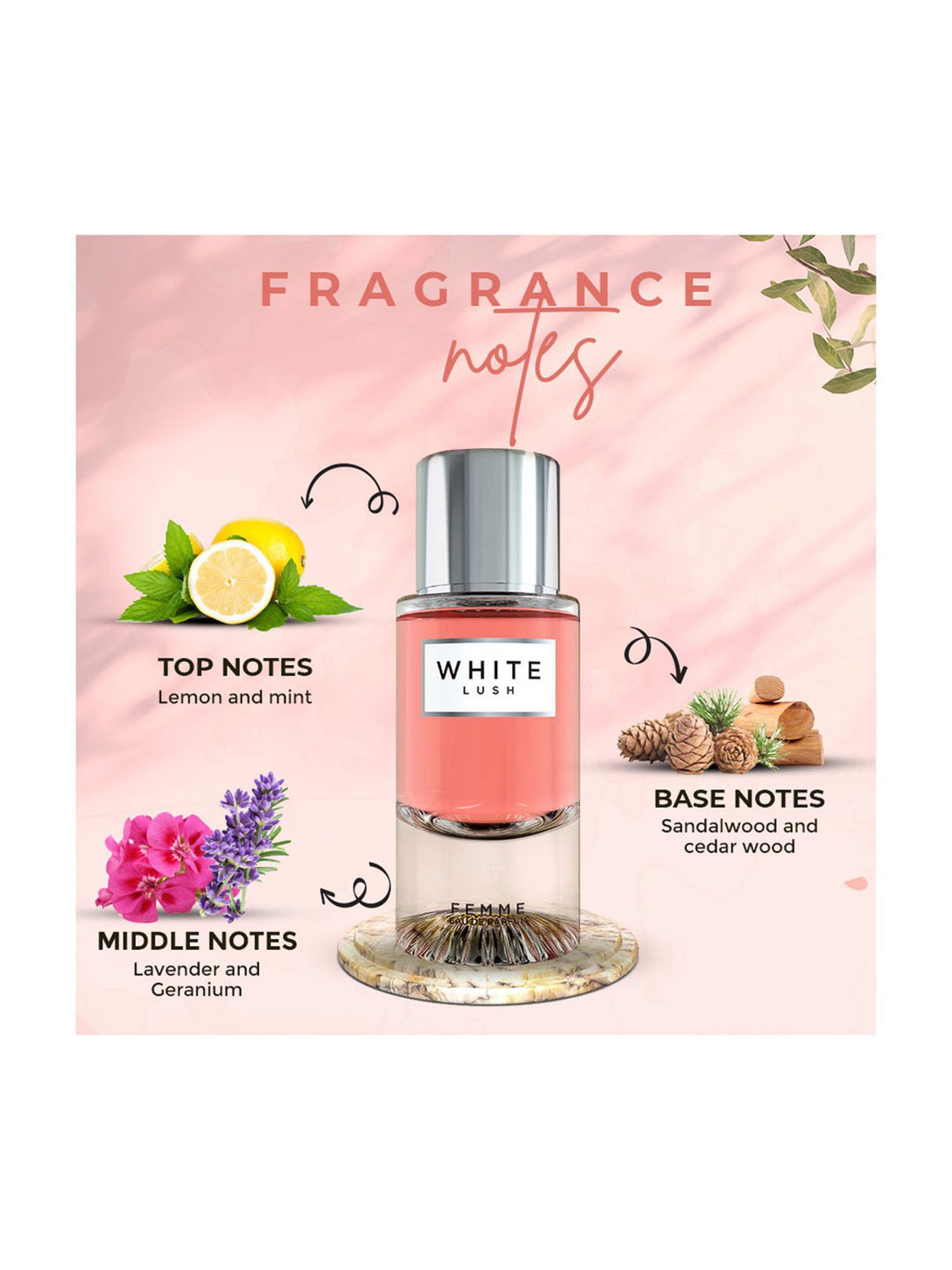 Colorbar Fragrances White Lush EDP for Women - 50 ml