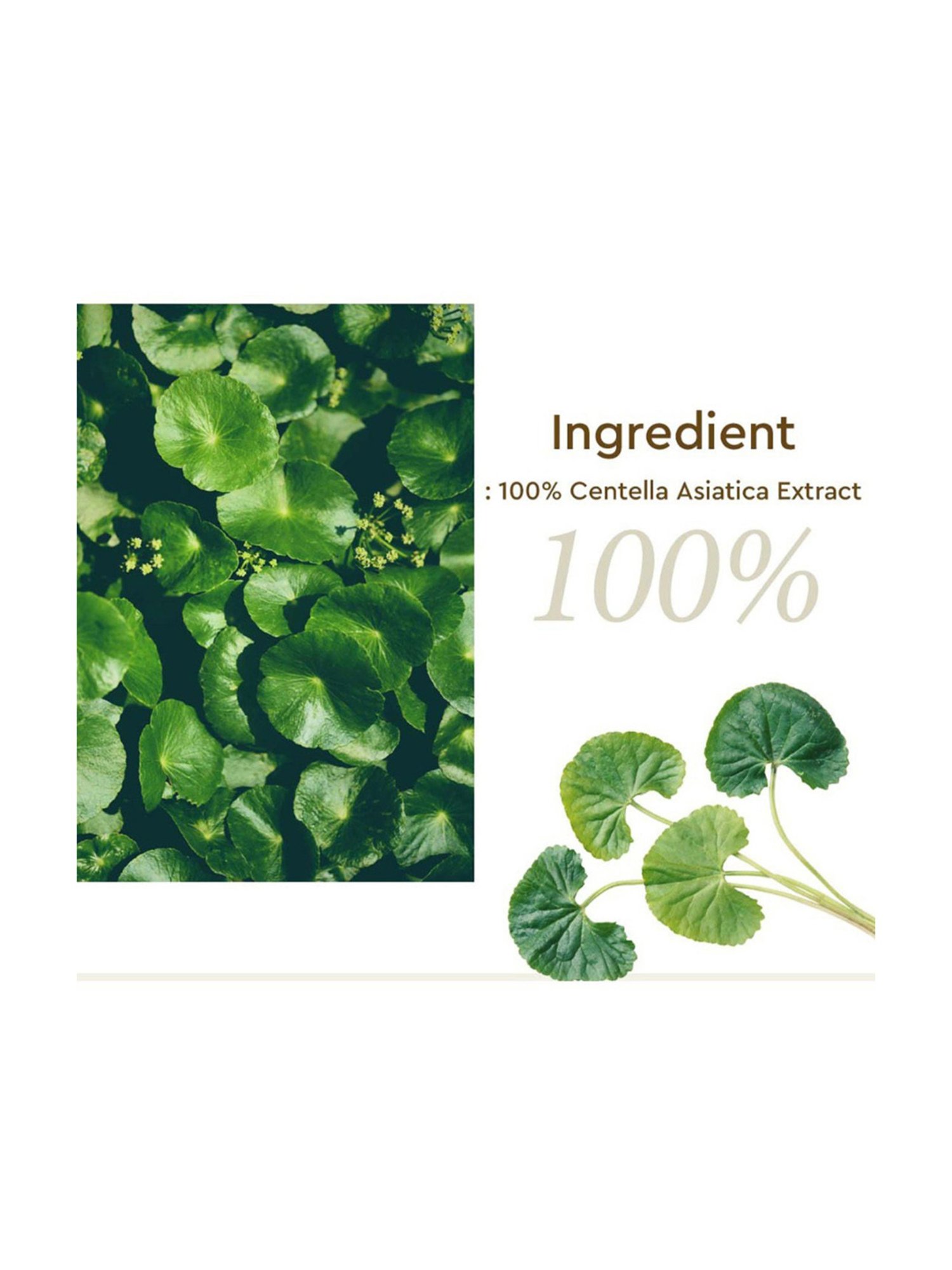 Dewytree Cica 100 Essence - 160 ml