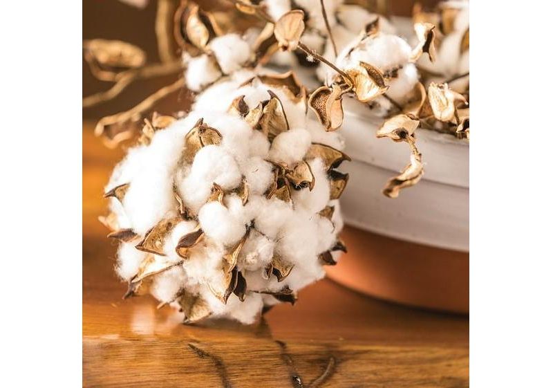 Plum & Post Leaf Serving Bowls, S/2