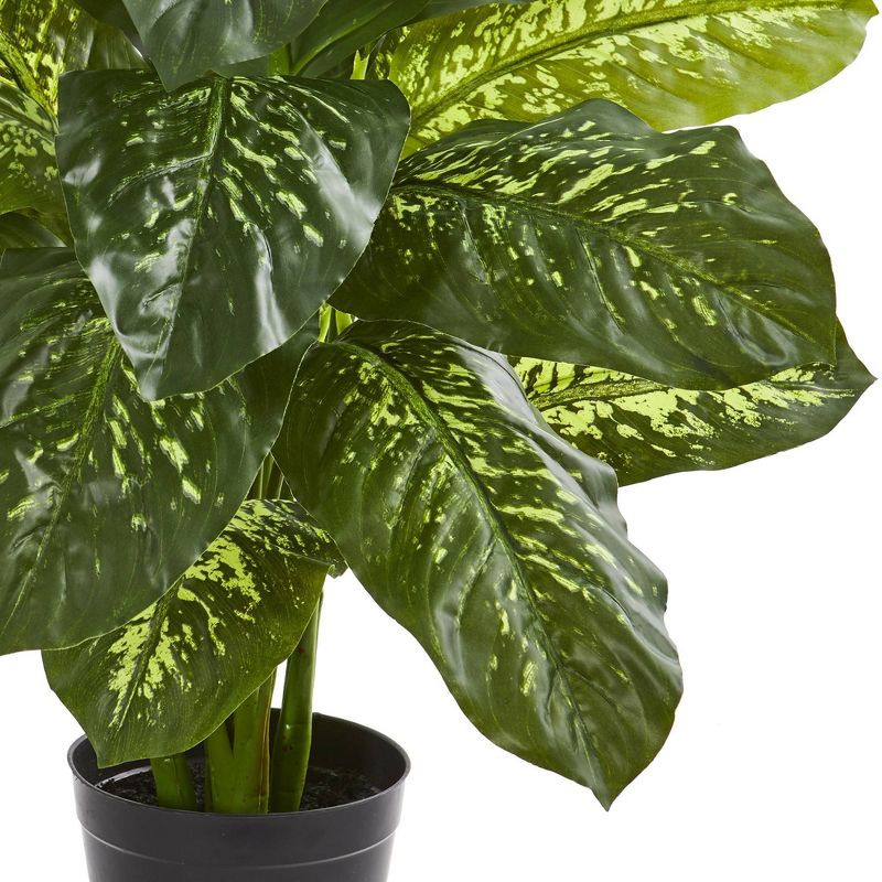 34" x 22" Artificial Dieffenbachia Plant in Pot - Nearly Natural