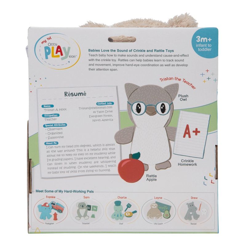 My 1st OccuPlaytion Owl Teacher - 3pc