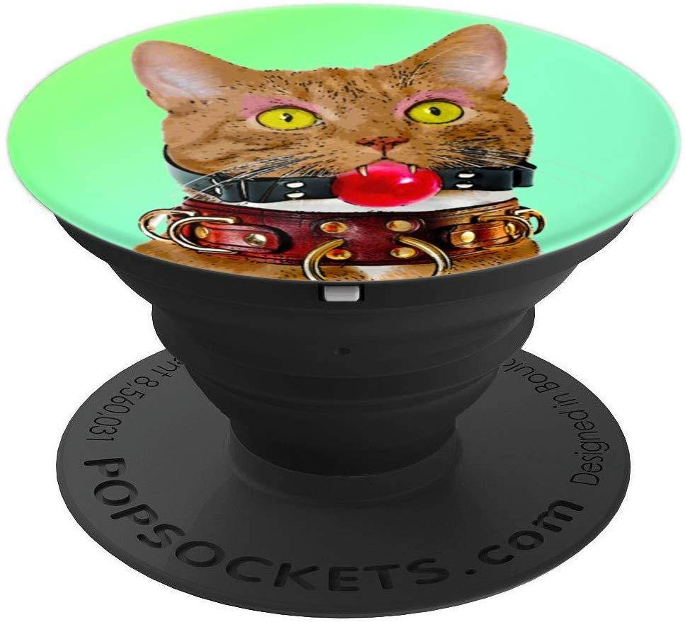 Slave Kitty Cat with Ball Gag