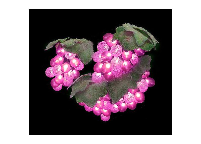 J. Hofert Co Set of 100 Indoor/Outdoor Purple Grape Cluster Christmas Lights