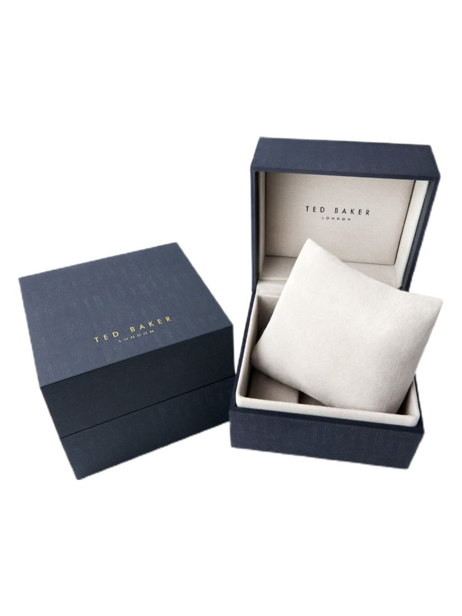 TED BAKER BKPLEF110 Analog Watch for Women