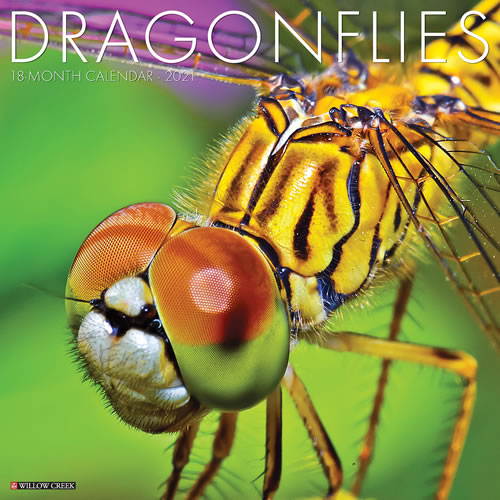 2021 Dragonflies Wall