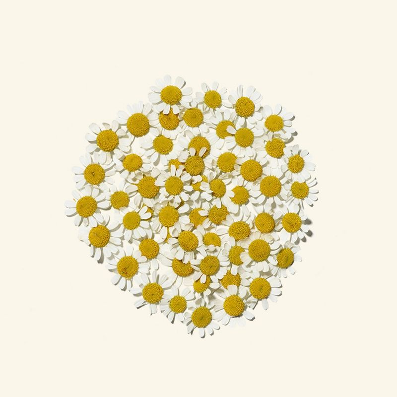 Unscented Aveeno Ultra-Calming Foaming Cleanser For Sensitive Skin - 6 fl oz