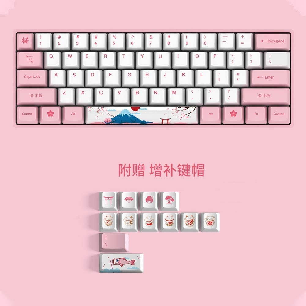 EPOMAKER AKKO 3061 World Tour Tokyo 61 Keys 60% Wired Mechanical Keyboard with PBT Keycaps, NKRO for Gamers/Mac/Win (Cherry Brown Switch, 61 Keys)