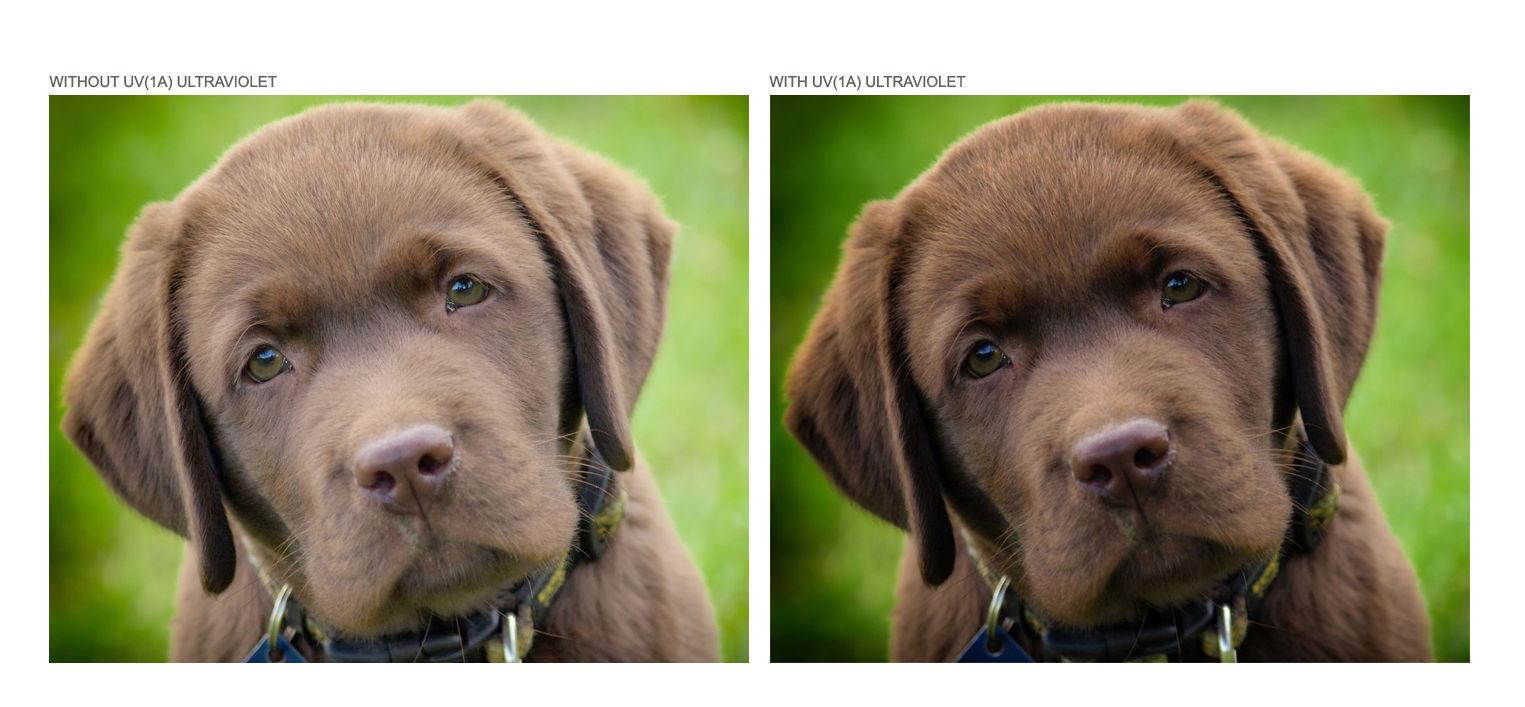 Zeiss Milvus 18mm f/2.8 ZE Lens for Canon EF - 2096-517 + Deluxe Lens Cleaning Kit