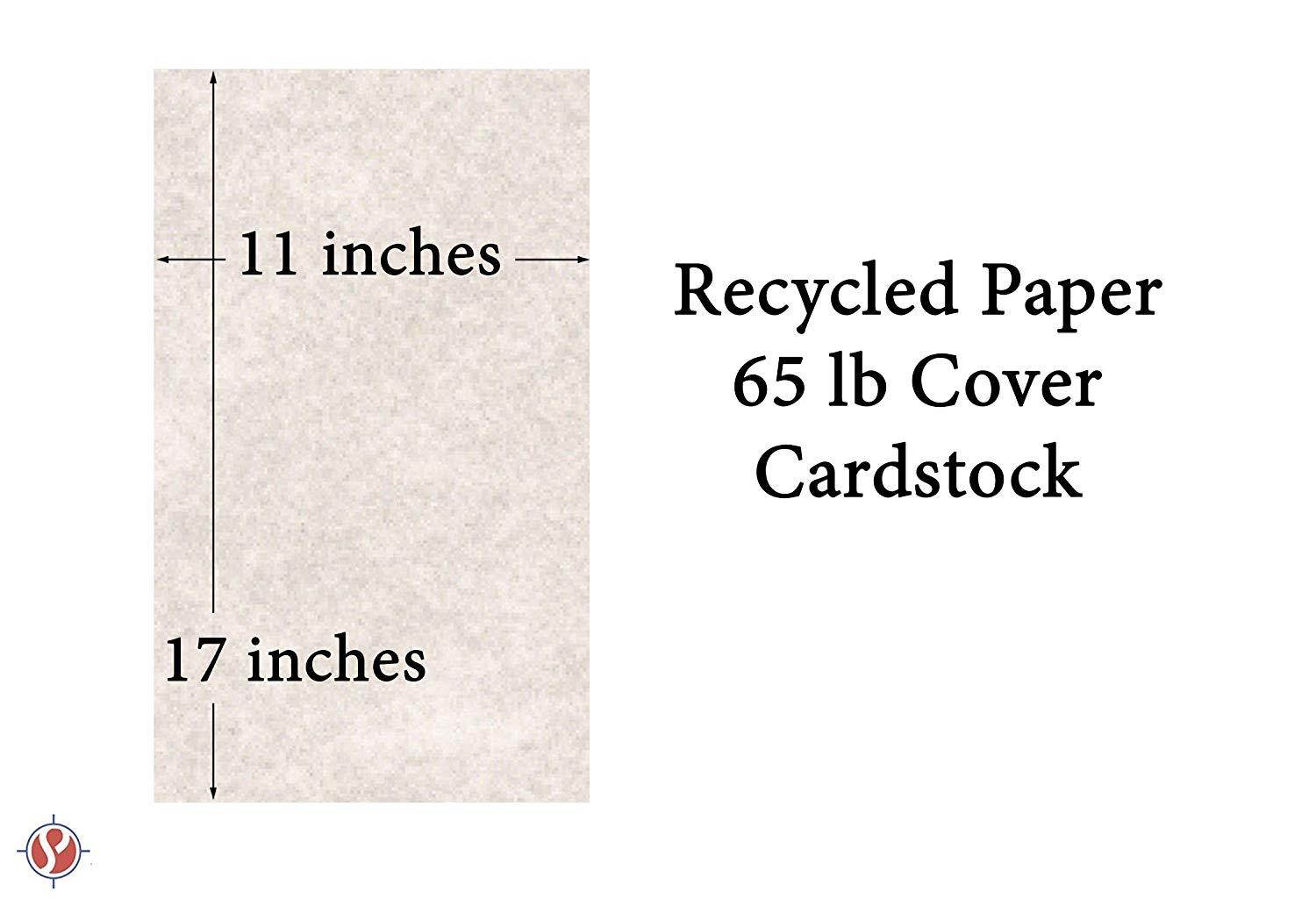 Stationery Parchment, 65lb. Cover Stock 11 X 17 Inches, 50 Sheets (Pewter)