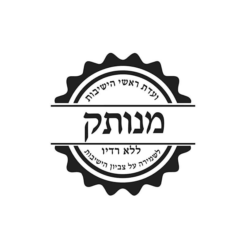 SMARTBASS 2.0 MP3 Player with Bluetooth, Full Touch Screen, MP3 Players Without Radio, NO Video, NO Pictures, Kosher, Option to Transfer Files from SD Card to The MP3, Voice Recorder (Blue)