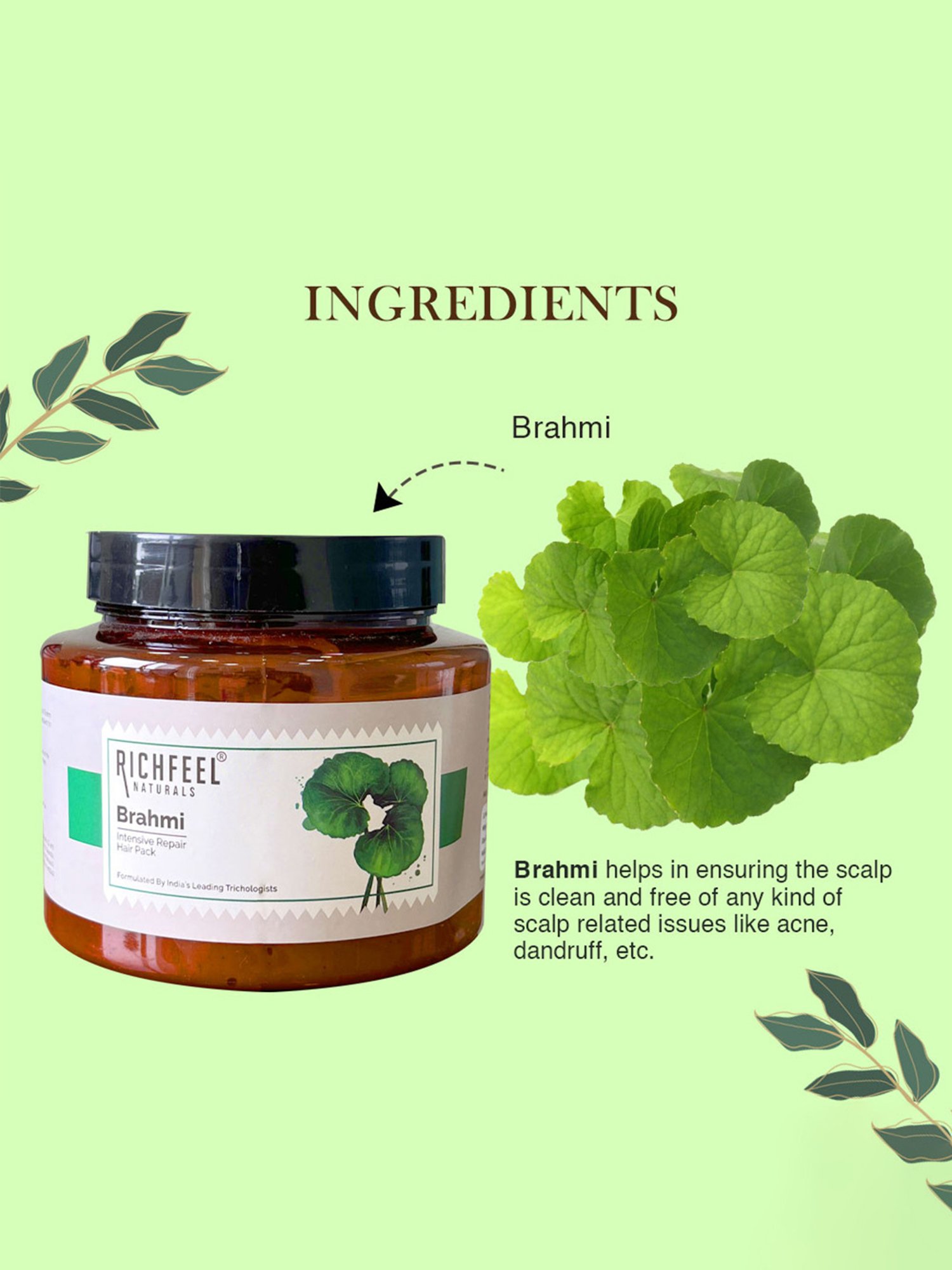 Richfeel Brahmi Intensive Repair Hair Pack - 500 gm