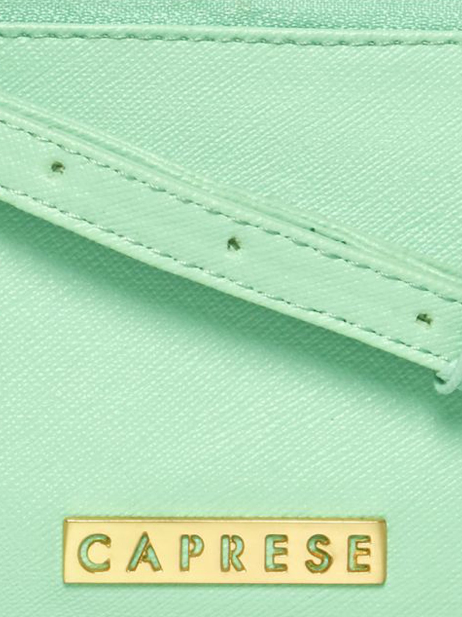 Caprese Rommy Mint Faux Leather Solid Sling Handbag