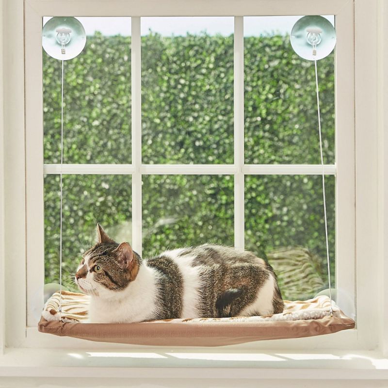 Hauspanther Cubitat Cat Bed - Espresso