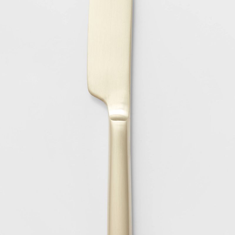 Stainless Steel Dux Champagne Dinner Knife - Project 62™