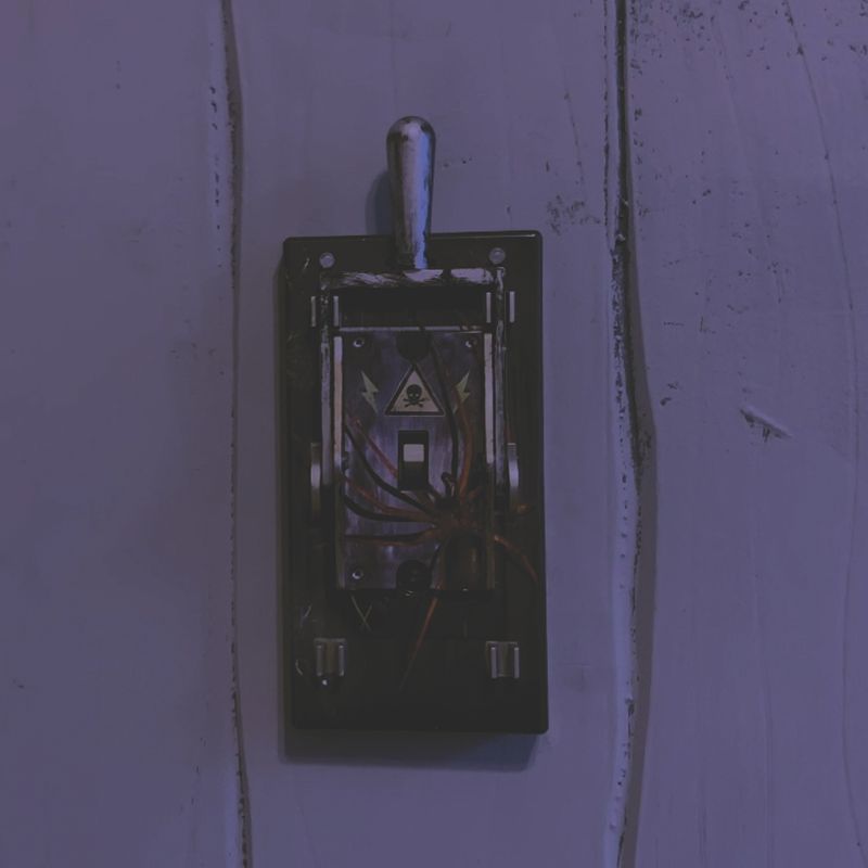 Tekky Electric Light Switch Cover   Spider, Black