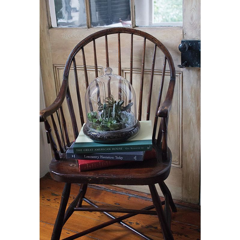 Syndicate Home Gardens Indoor or Patio Round Glass Terrarium Cloche with Built In Air Holes, 10 x 11.38 Inches