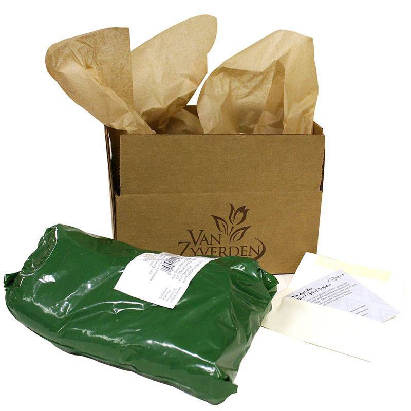 Peonies Sarah Bernhardt Set of 5 Economy Sized Roots - Van Zyverden