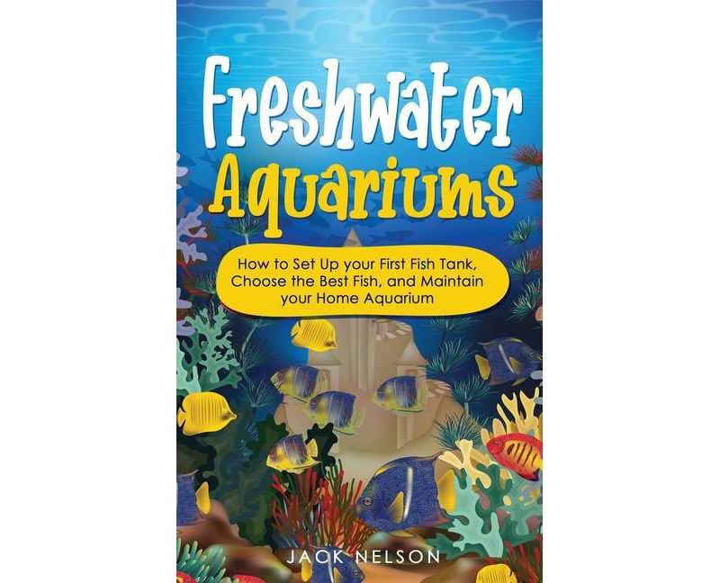 Behold the Personal Maine Coon - by  Phyllis Stiebens (Paperback)