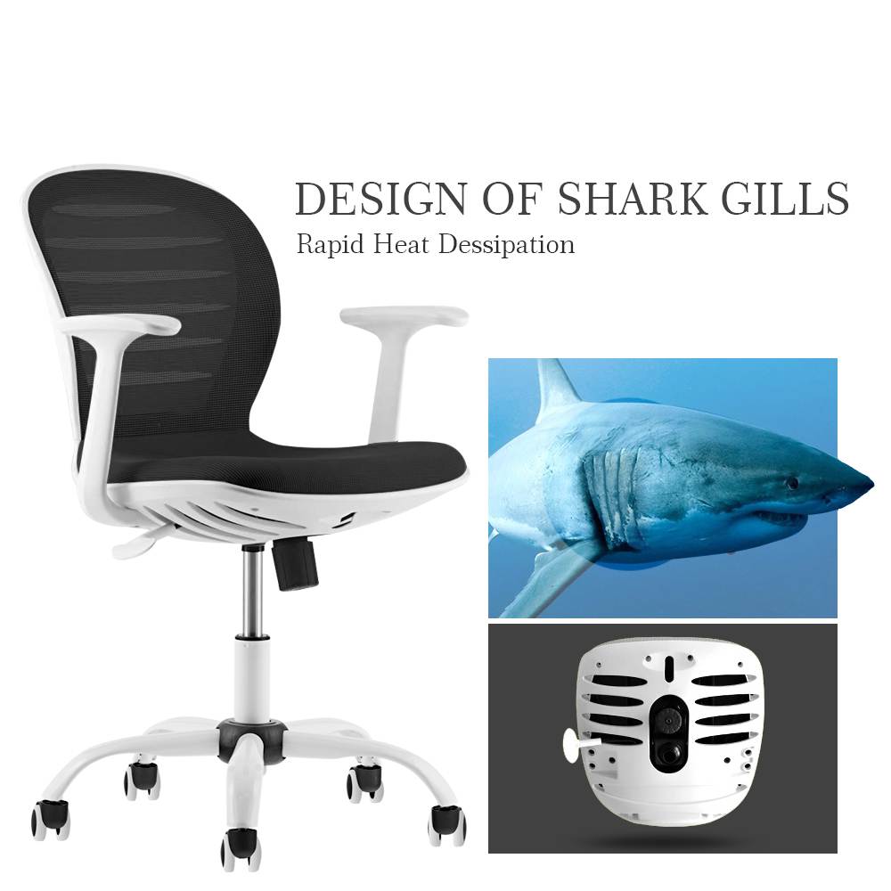 Multi Function Mid Back Mesh Adjustable Home Office Task Chair with Armrest (Black and White)