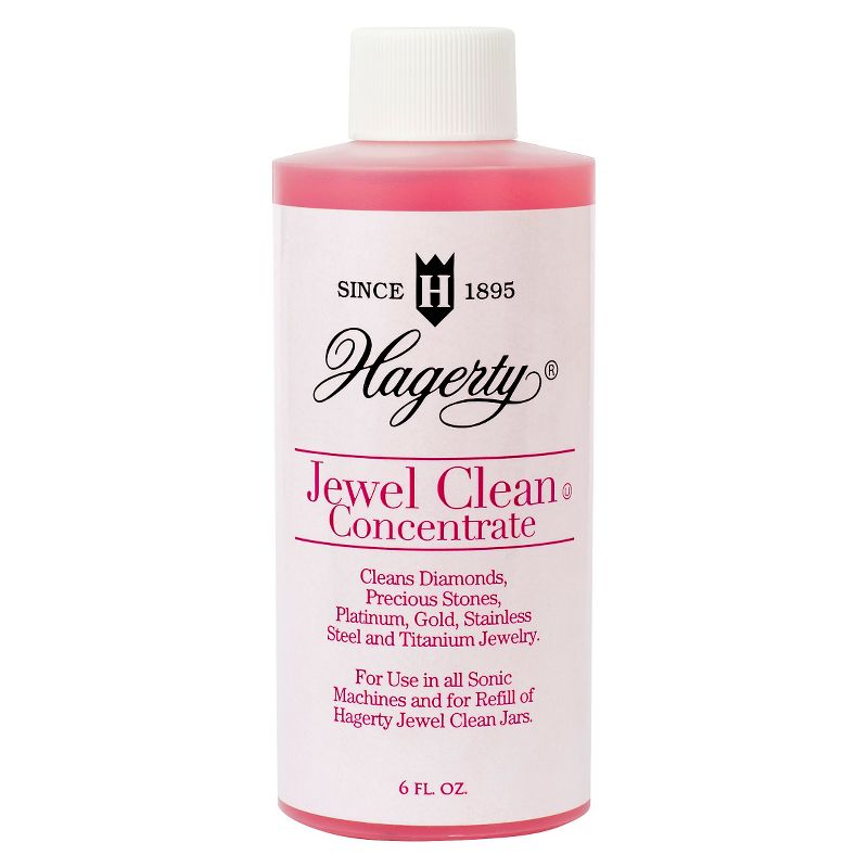 Hagerty Let It Shine! Sonic Clean System