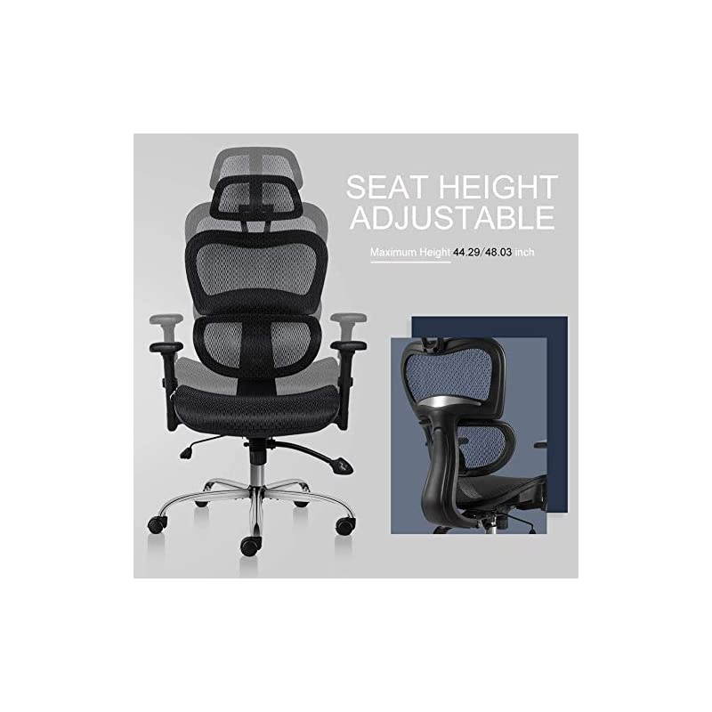 Chair, Ergonomics Mesh Chair Computer Chair Desk Chair High Back Chair w/Adjustable Headrest and Armrest