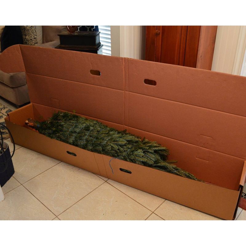 Bluberry 'Tift' 1pc - National Plant Network U.S.D.A Hardiness Zone 7-9 - 2.5 Quart