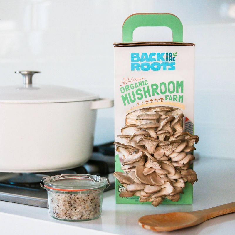 Back to the Roots Organic Mushroom Grow Kit