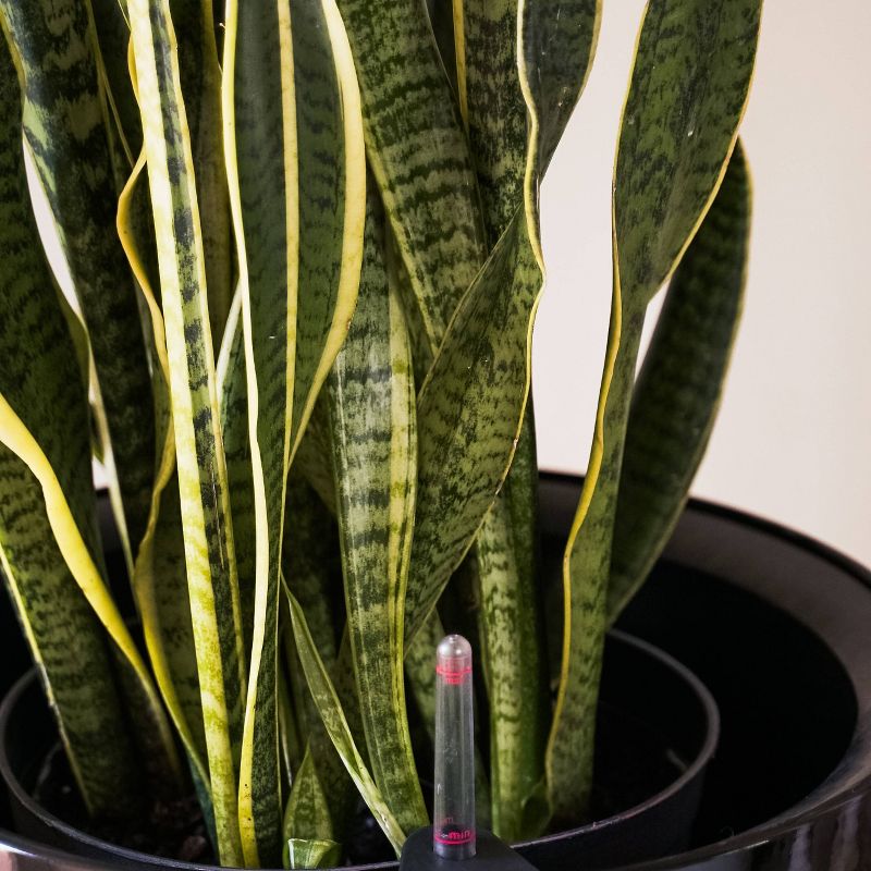 2pc 17" Indoor/Outdoor Round Plastic Self Watering Planter Black - XBrand