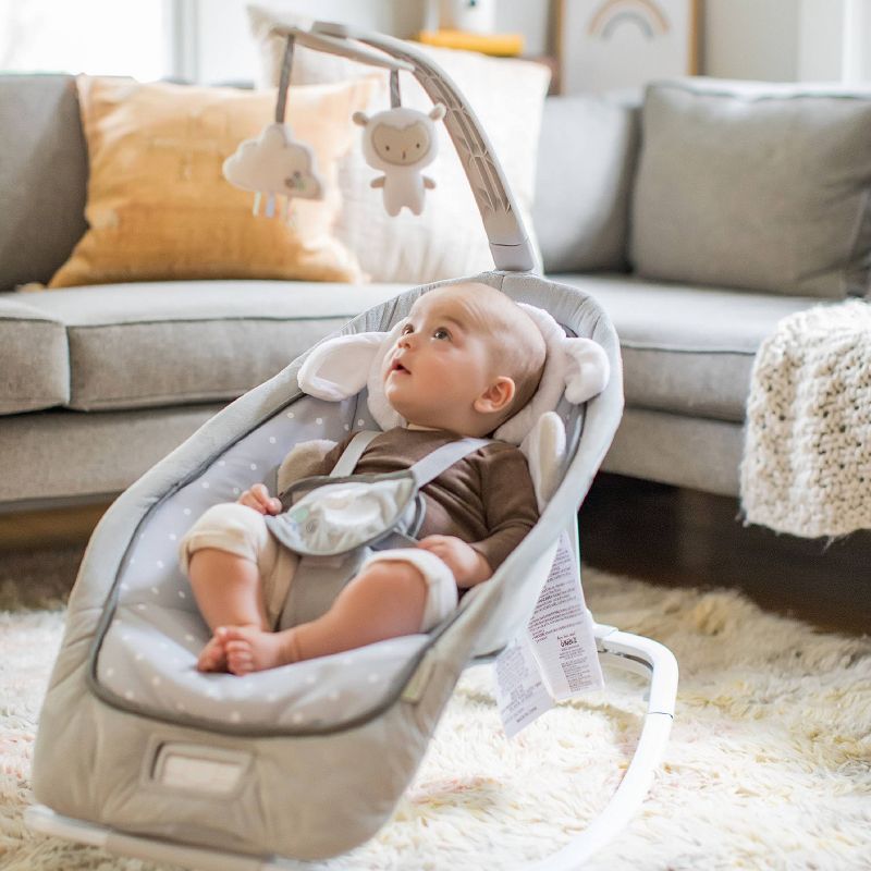 ​Fisher-Price Baby Bouncer