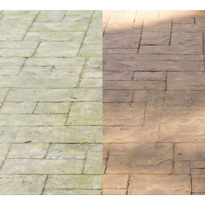 BISSELL 22 floz Oxy Stain Destroyer Pet For Carpet and Upholstery