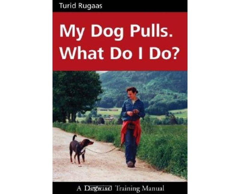 Life with Forty Dogs - by  Joseph Robertia (Paperback)