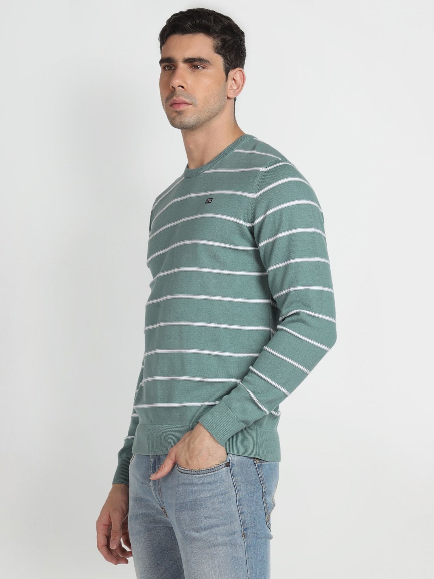 Arrow Sport Sage Cotton Regular Fit Striped Sweater