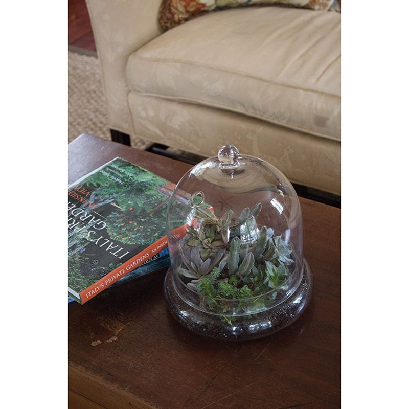 Syndicate Home Gardens Indoor or Patio Round Glass Terrarium Cloche with Built In Air Holes, 10 x 11.38 Inches