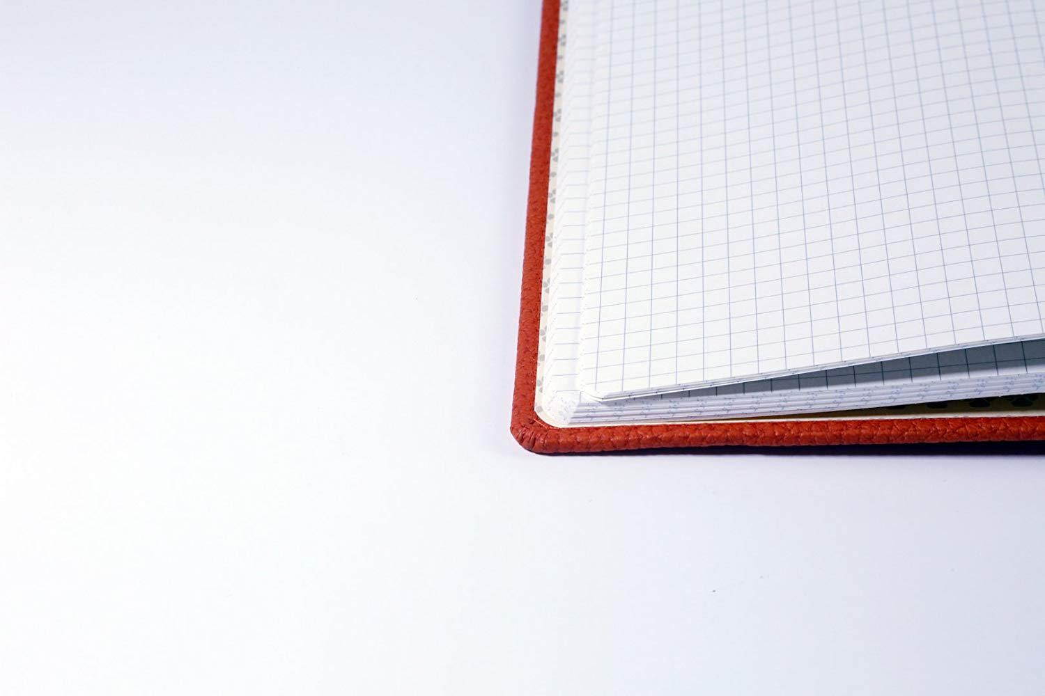 Dingbats Wildlife Medium A5+ (6.3 x 8.5) Hardcover Notebook - PU Leather, Micro-Perforated 100gsm Cream Pages, Inner Pocket, Elastic Closure, Pen Holder, Bookmark (Grid, Orange Tiger)