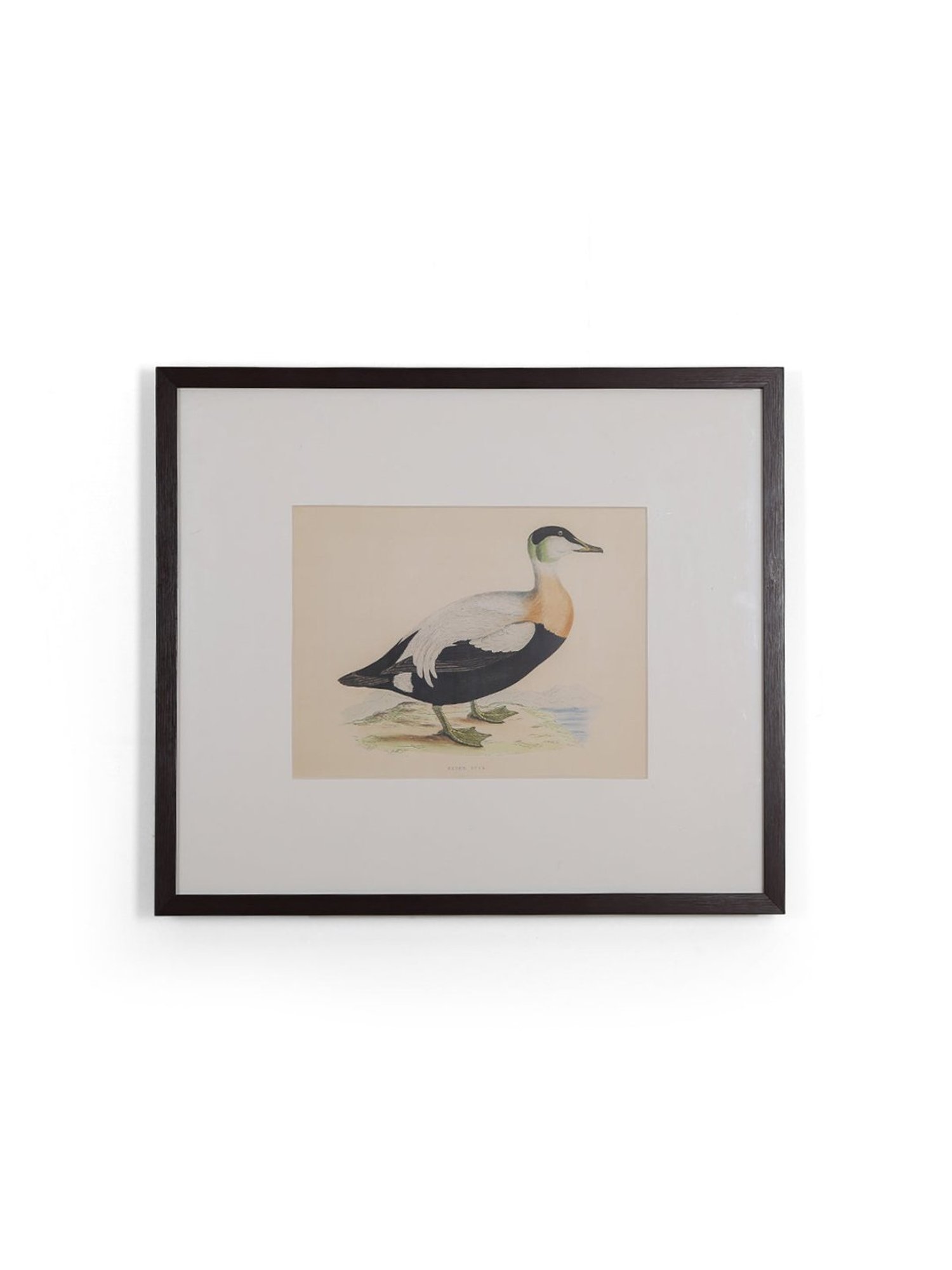 Home4U Cfo140054 Multicolor Ceramic Wall Art