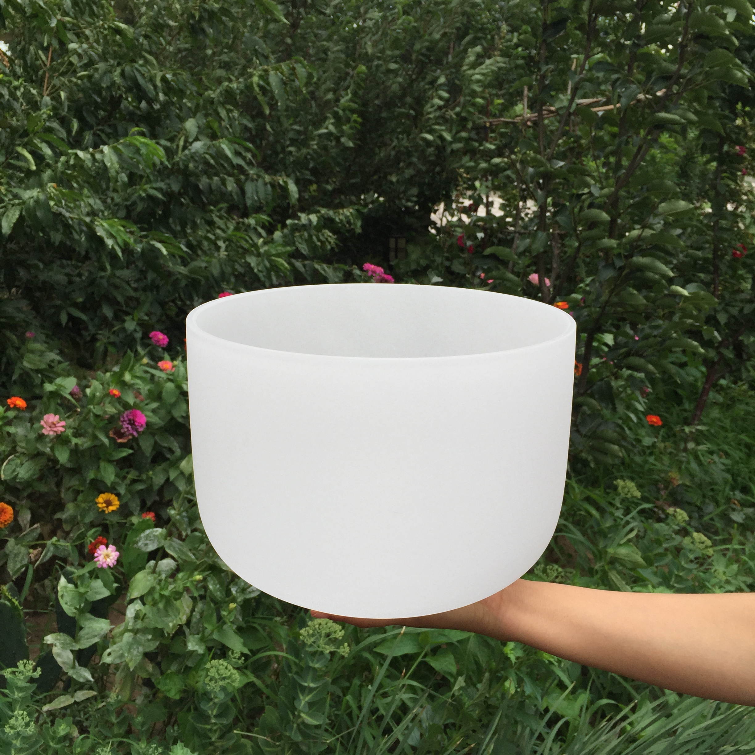 TOPFUND Singing Bowls D Note Crystal Singing Bowl Sacral Chakra 10 inch (O ring and Suede Sticker or Rubber Mallet Included)