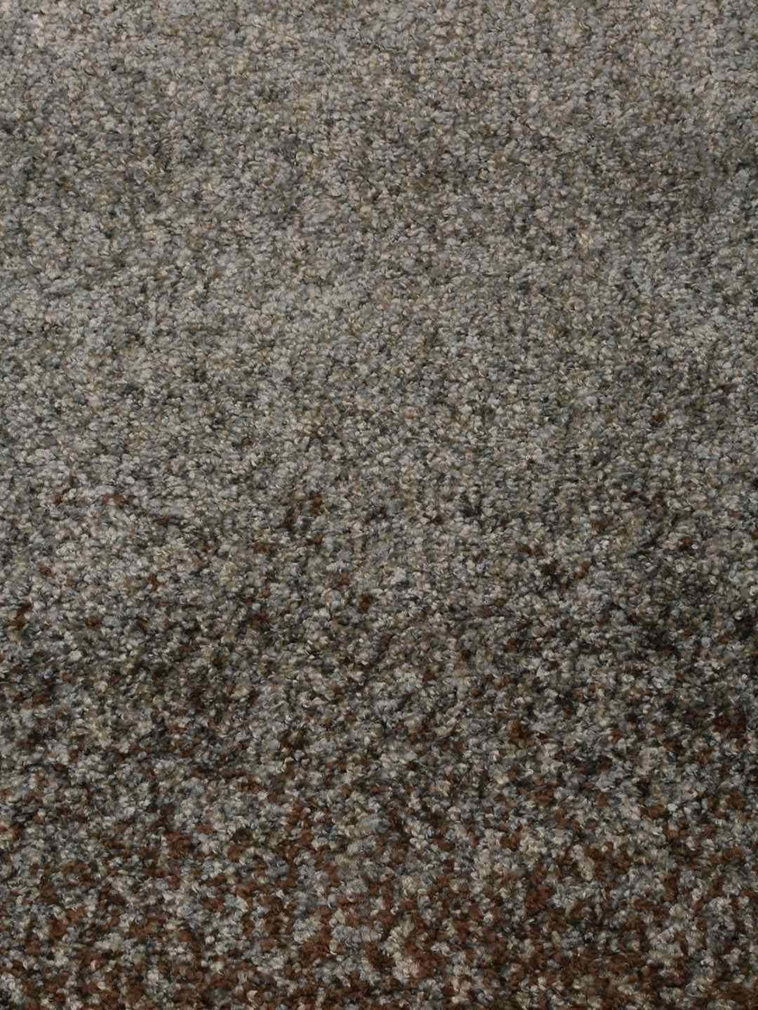Ddecor Live Beautiful Mineral Brown Polypropylene Large Rugs