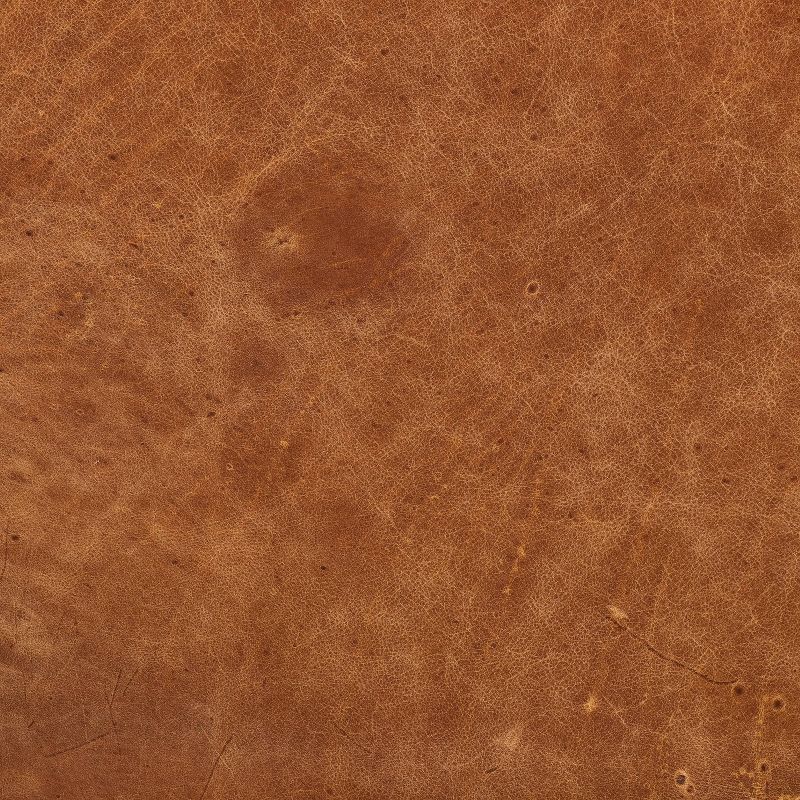 Florence Mid-Century Modern Sofa Cognac Tan - Poly & Bark