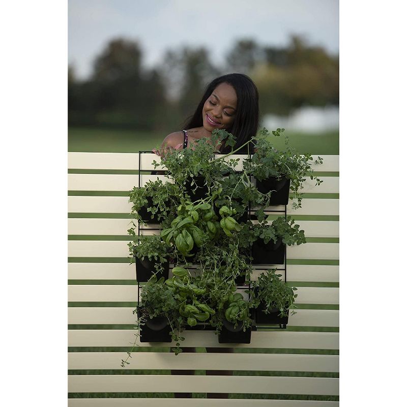 FoxFarm Happy Frog Nutrient and Ocean Forest Garden Potting Soil Mix (2 Pack)