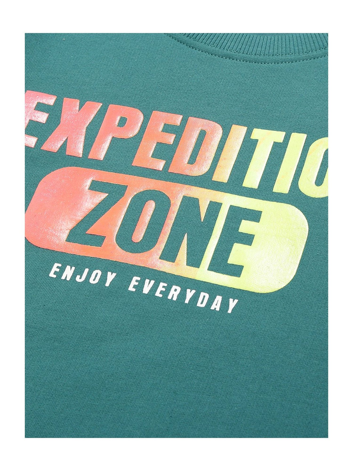 Plum Tree Kids Teal Graphic Print Full Sleeves Sweatshirt