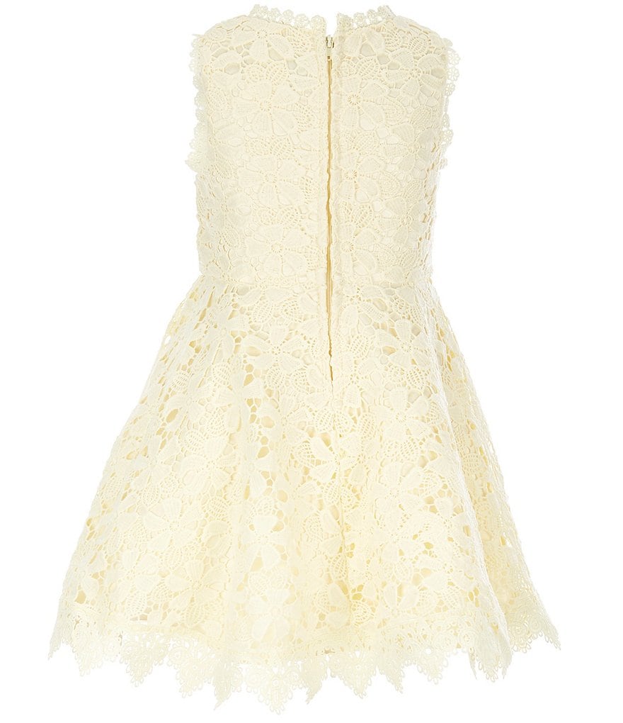 Rare Editions Little Girls 4-6X Crocheted Lace Fit-And-Flare Dress
