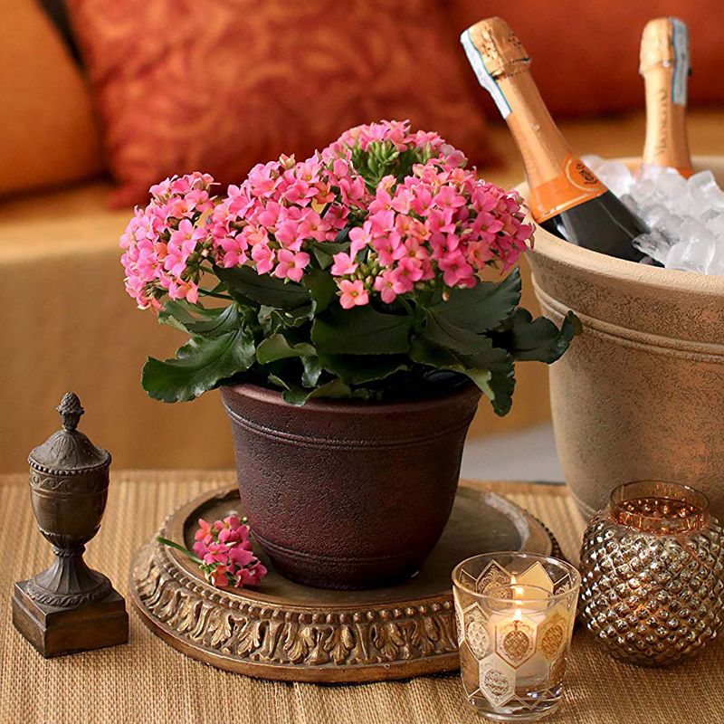 Listo SRA13001P05 13-Inch Round Resin Sierra Planter, Rustic Redstone (3 Pack)