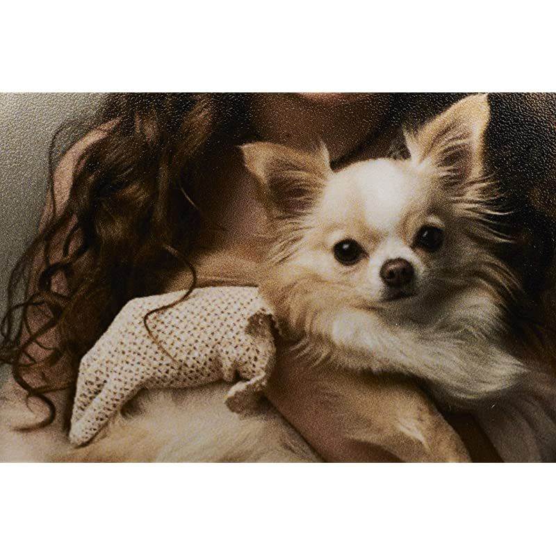 GALERIE Prestige Smooth Pearl 4 x 6 Inches 100 Sheets 2001743 HighDensity Heavyweight Professional Inkjet Photo Range Paper with HDR Instant Dry Nanoporous Surface