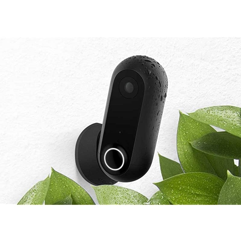 Flex 2 Pack Outdoor Indoor Home Security Camera with Premium Service (1 YR Free Incl.) | Weatherproof, Wire-Free or Plugged in, 2-Way Talk, 30-Day Video Cloud