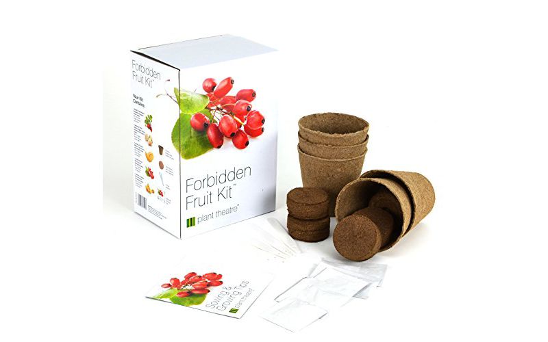 Plant Theatre Forbidden Fruit Kit - Plant Seed Kit - 5 Delectable Fruits to Grow - Everything You Need to Start Growing in one Box!