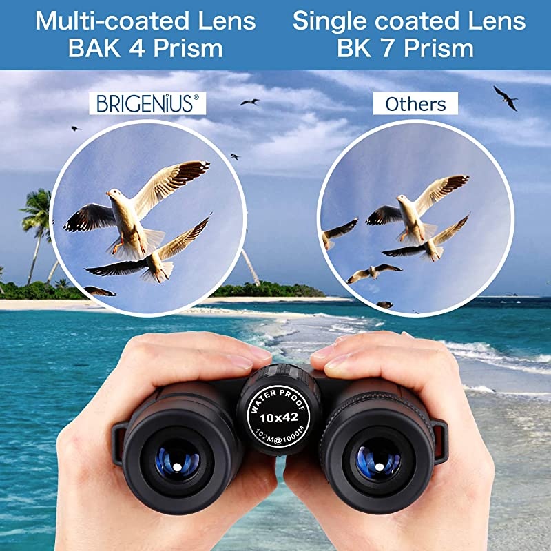 10x42 Roof Prism Binoculars with Clear Weak Night Vision, HD Professional Compact Binoculars for Bird Watching Hunting Travel Outdoor Sports Games and Concerts with BAK4 Prism FMC Lens