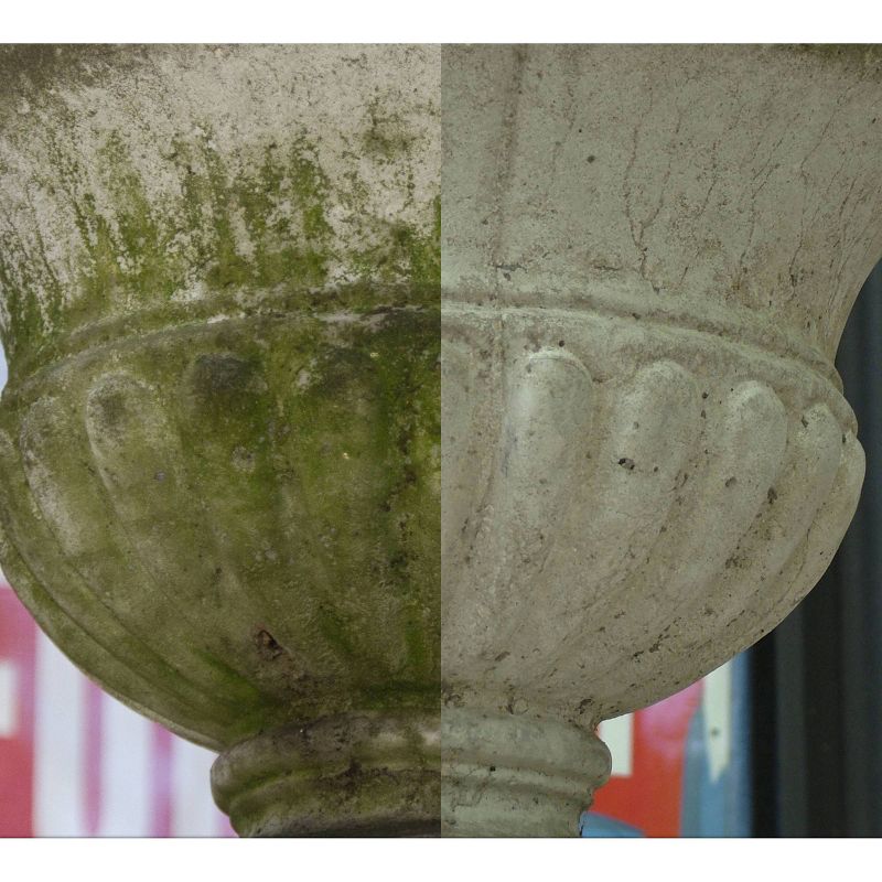 BISSELL 22 floz Oxy Stain Destroyer Pet For Carpet and Upholstery