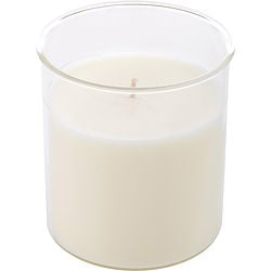 ESQUE CANDLE INSERT 9 OZ