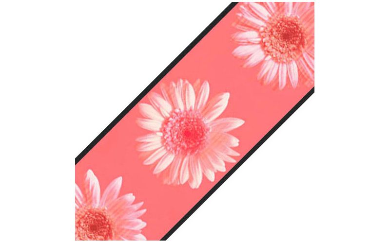 Pink Daisy Flowers Prepasted Wallpaper Border Roll - Surestrip..
